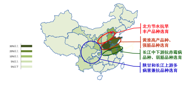 我國小麥四大主產(chǎn)區(qū)的在小麥品種改良上已形成的優(yōu)勢