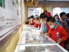 南方小记者走进阿农湾，深入了解“佛味鲜生”和“百里芳华”项目