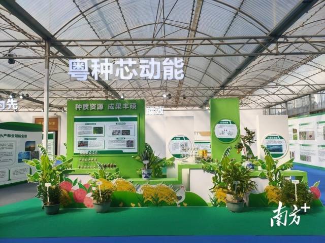 南方农村报 常秦 拍摄