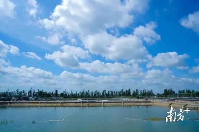 广东省水生生物资源丰富