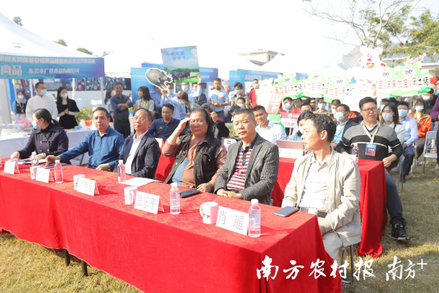 参会领导与评审专家