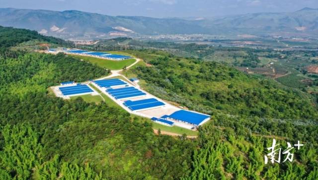 国家级肉鸡核心育种场-佛山市高明区新广农牧有限公司育种基地