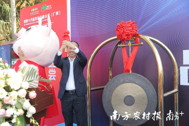 广东省农业技术推广中心副主任、省养猪行业协会会长陈三有鸣锣开赛