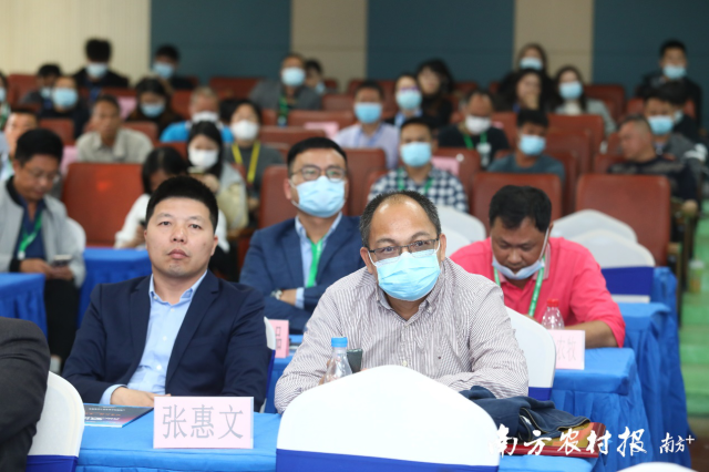 参会嘉宾认真学习