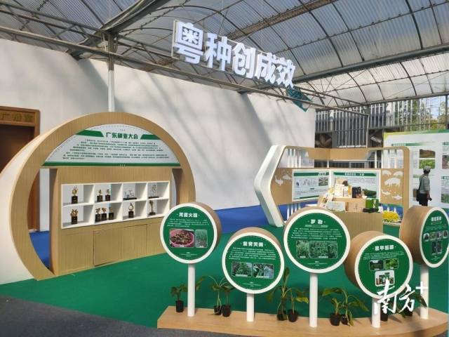 南方农村报 常秦 拍摄