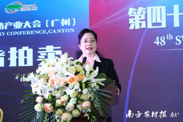 广东省拍卖业协会副会长、国家注册拍卖师 林朝晖担任拍卖师