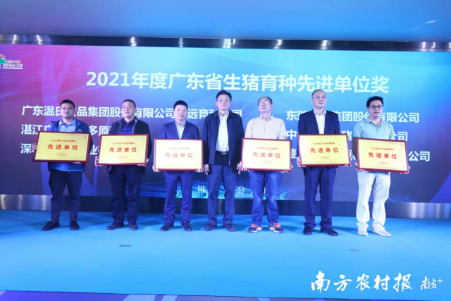 颁发2021年度广东省生猪育种先进单位奖