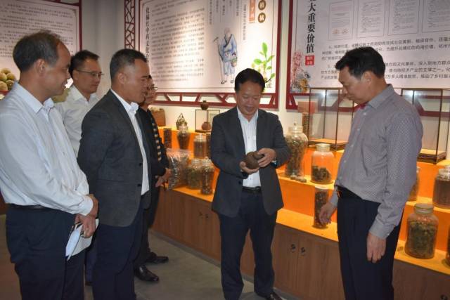 调研那宾村化橘红深加工系列产品。