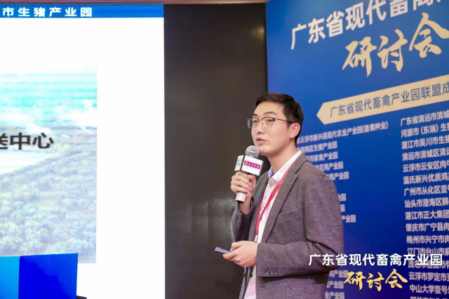 海大集团项目办高级项目经理丁发