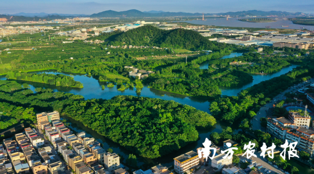 小鸟天堂。李健庭 摄