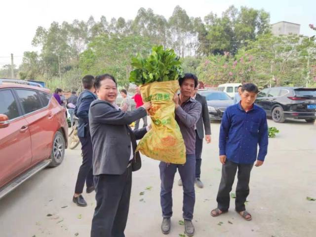 广东茂名农林科技职业学院向那宾村村民赠送化橘红树苗。