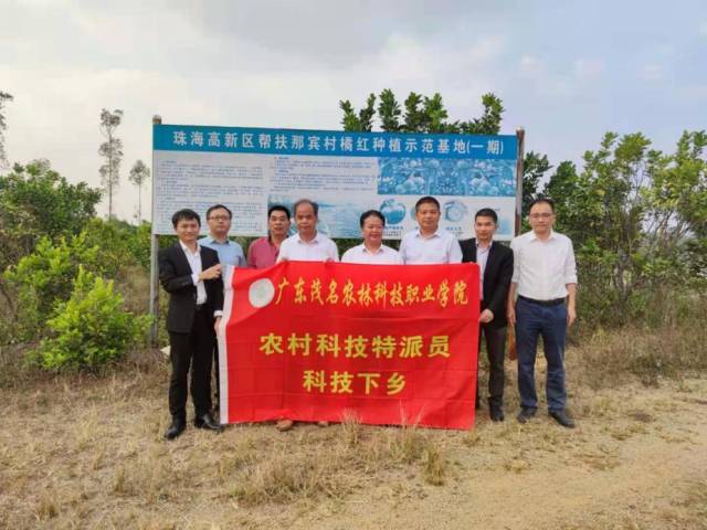 调研化橘红种植示范基地。