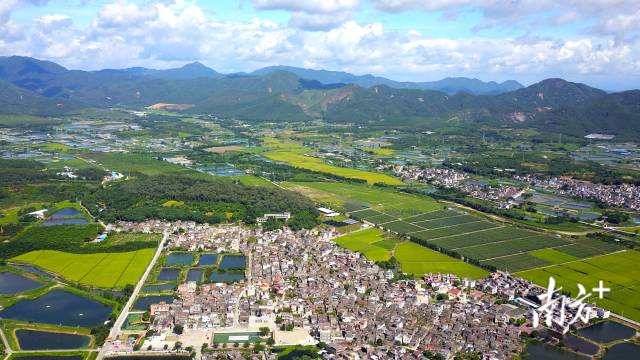 崖門鎮(zhèn)京梅村 