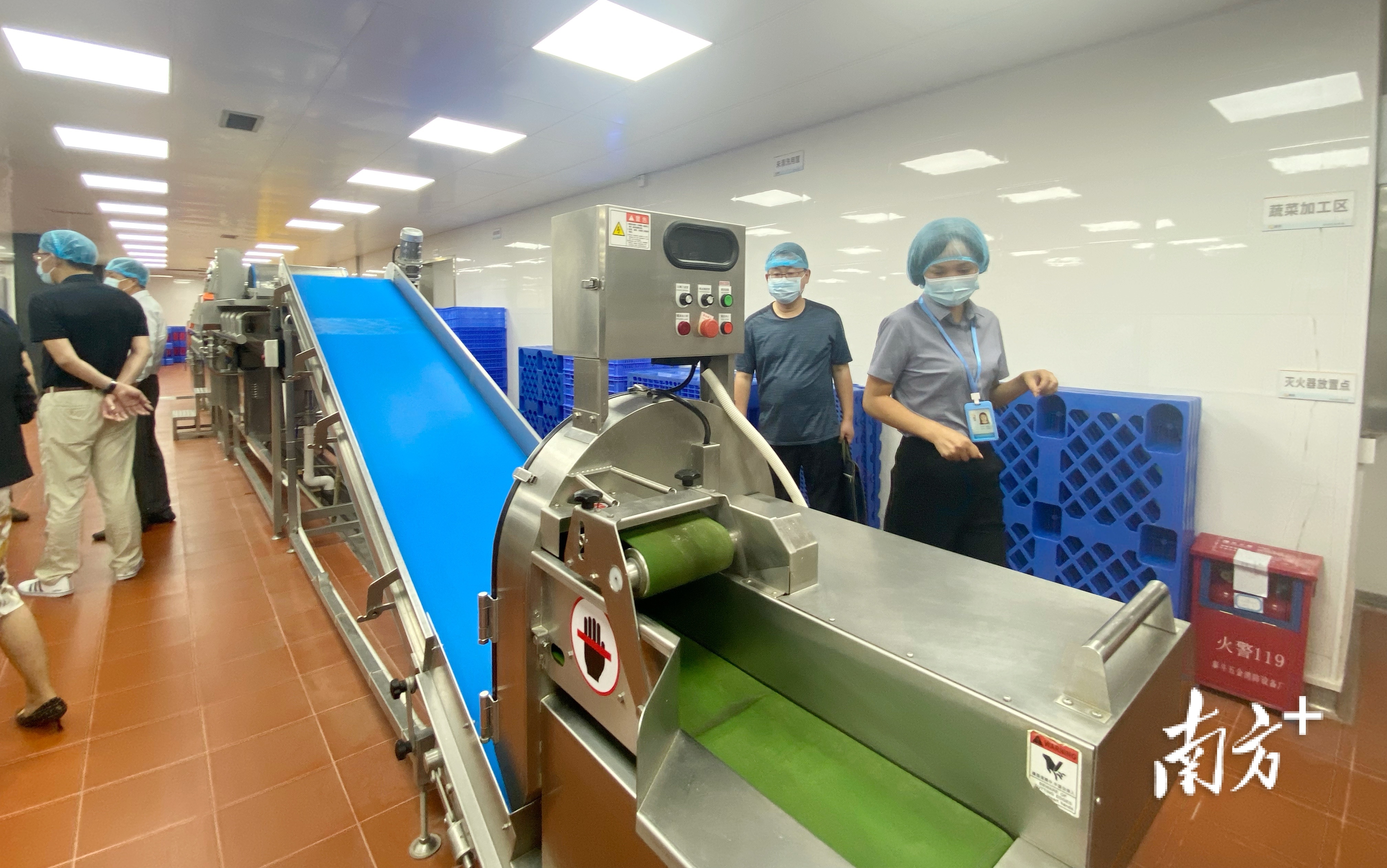 针对青少年“舌尖上的安全”，江门市政协曾多次组织实地调研。黄烨倩 拍摄