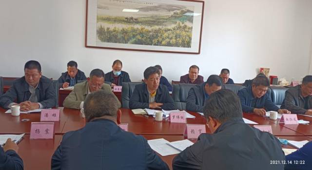 乡村振兴驻镇帮镇扶村座谈会