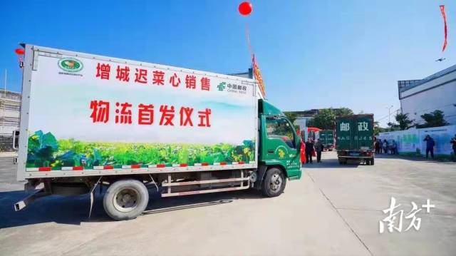 广州市增城迟菜心产业发展协会成立仪式上满载增城迟菜心的首发车