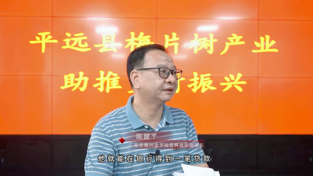 平远县推出梅片树发展新政策