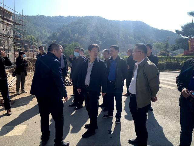 调研组到泮溪田家炳大桥调研