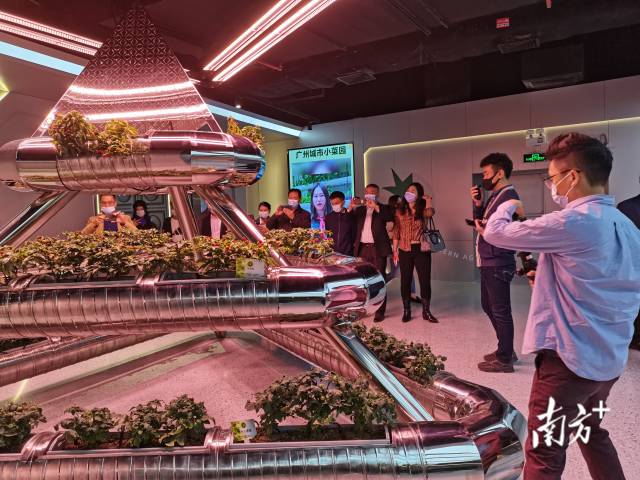 参观太空果蔬馆