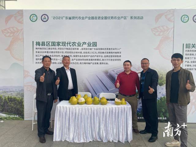 梅县区产业园代表展示展销梅州金柚