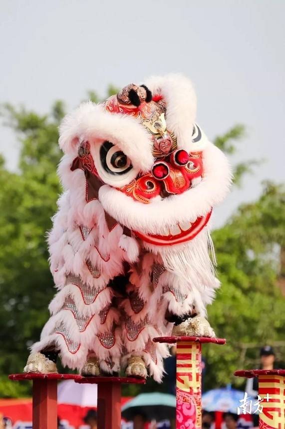 崖门镇京梅村蔡李佛国际狮王争霸邀请赛