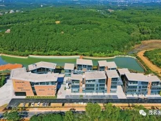 擦亮“好心茂名”城市品牌推动优秀传统文化保护传承 | 迎接市第十二次党代会系列报道⑪