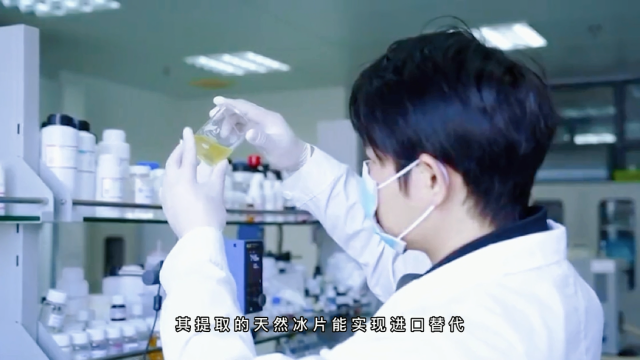 南药梅片提取的天然冰片能助力实现进口替代