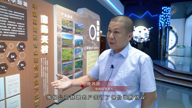 梅片树要卖给谁呢？林农并不愁