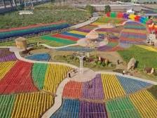 走进市民中推广品牌，“佛味鲜生”为乡村振兴注入新动能