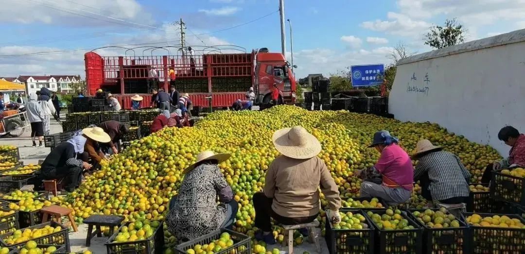 97国际游戏app-批量集中采购