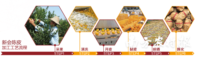 新会陈皮炮制技艺流程。