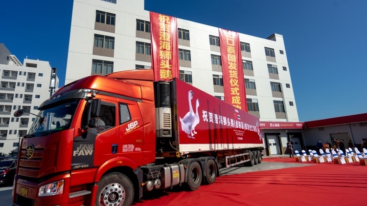 首发泰国！澄海狮头鹅紧跟RCEP，出口再突破