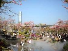 珠海点与面：粤澳共筑新家园的横琴实践 | 聚焦党代会