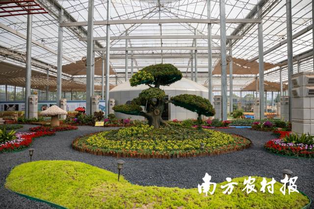 南方农村报 郑建斯 拍摄