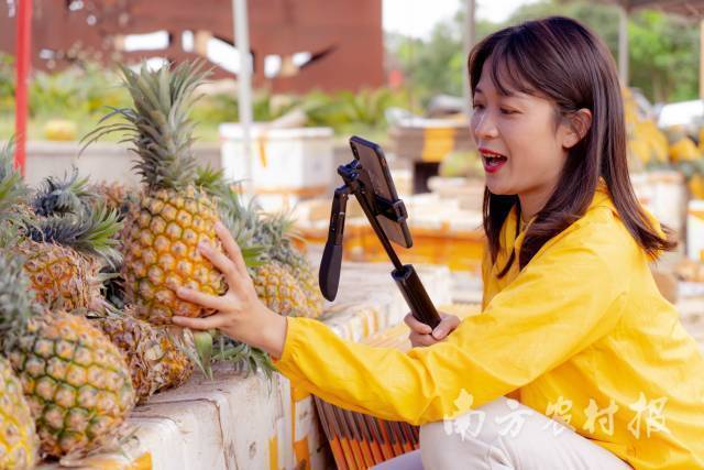 “菠萝妹妹”王小颖