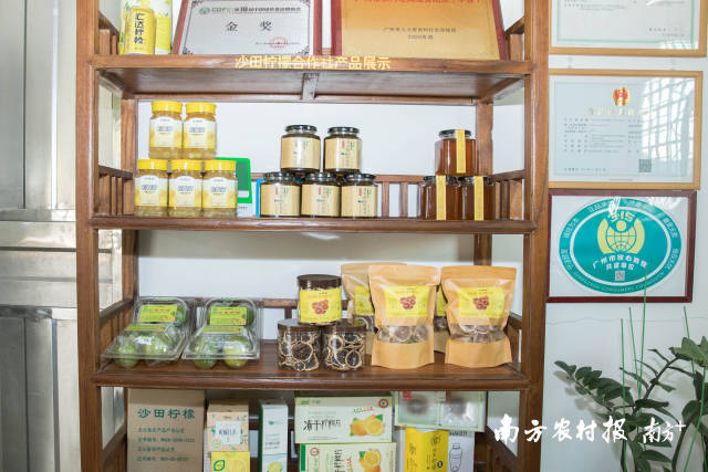 部分沙田柠檬被用于加工成相关制品和食品。  南方农村报 吴秒衡 拍摄