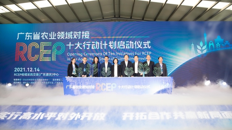 德庆贡柑探路RCEP大市场，在大宗水果国际市场建立广东柑橘优势