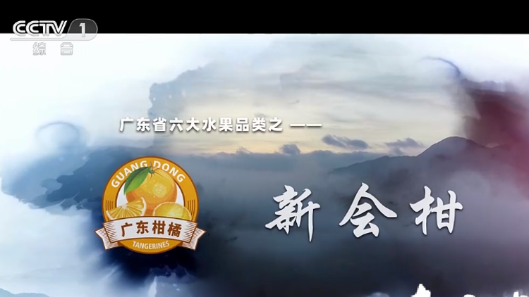 厉害了！新会柑刚刚惊艳“登陆”CCTV-1频道！