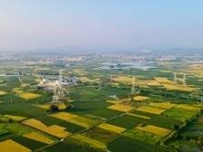 村与人组成海岸明珠 | 广东十大美丽乡村考察之行走进惠来