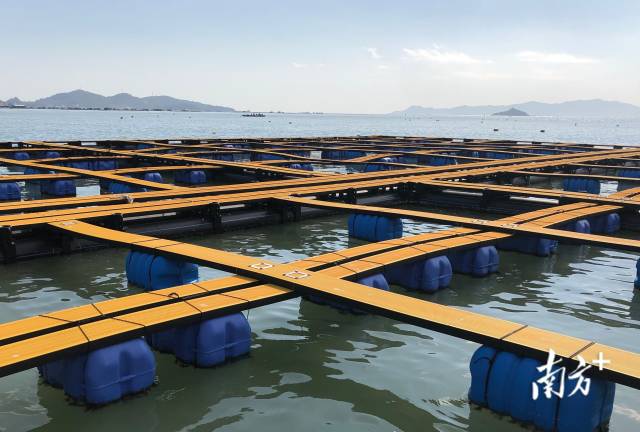 巴拿巴公司新引进塑料鱼排