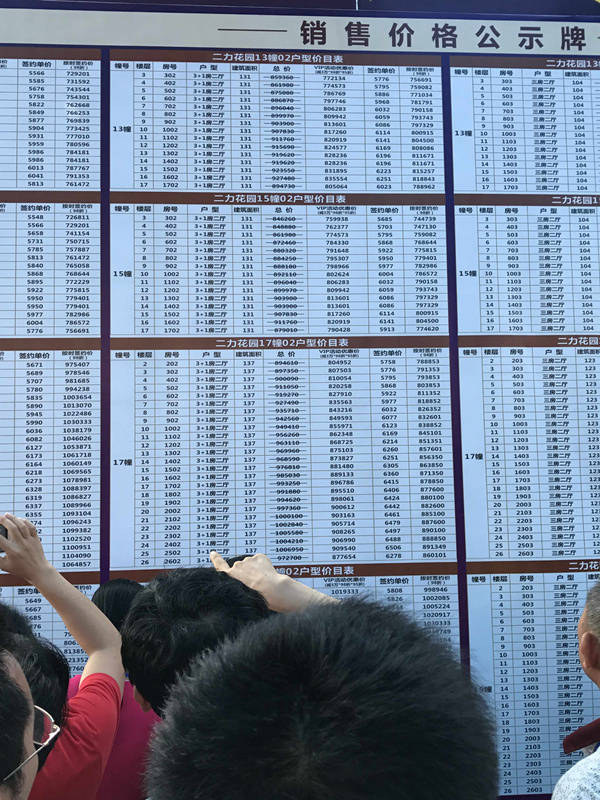 “二力花园”预售房抢购现场。受访者供图