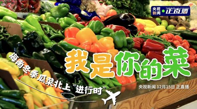 南方农村报 暂无 绘图