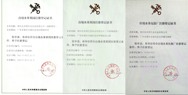 德庆东璞生态农业有限公司获得的基地和包装厂登记证书