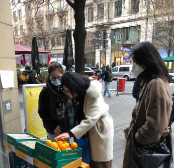 德庆贡柑登陆德国法兰克福商超