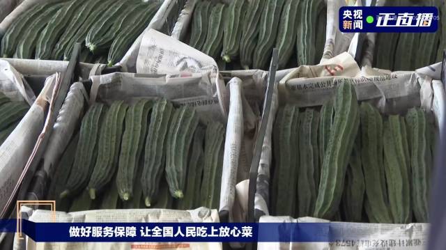 南方农村报 暂无 绘图