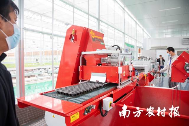 南方农村报 郑建斯 拍摄