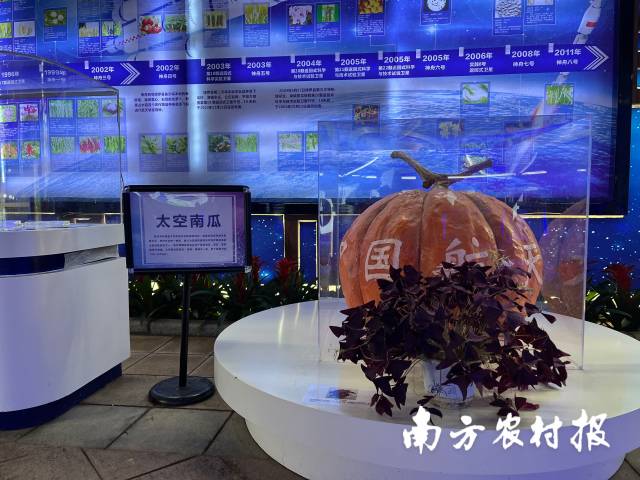 南方农村报 郑建斯 拍摄