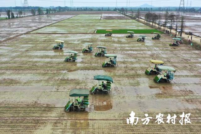 1  通讯员 南方农村报 供图