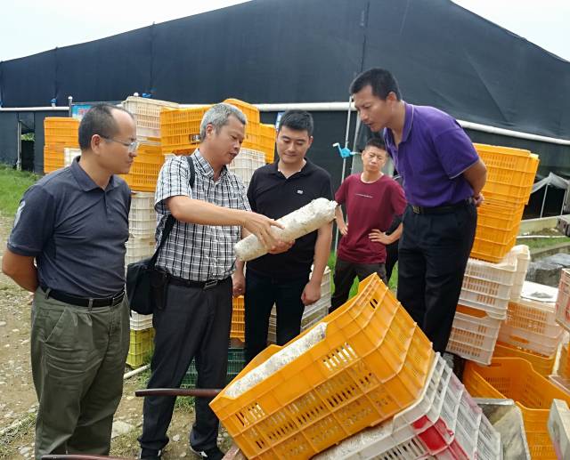 广东省农村科技特派员送科技下乡