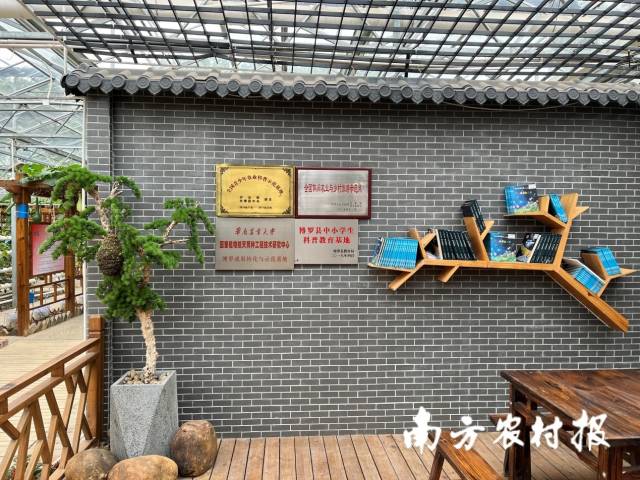 南方农村报 郑建斯 拍摄